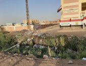 شكوى أهالى مدينة أولاد صقر بالشرقية: القمامة تحاصر مدرسة الثانوى الصناعى.. صور