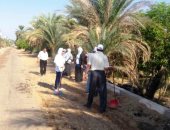 صور.. جامعة أسوان من أفضل خمس جامعات فى تطوير العشوائيات