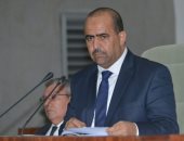 نائب رئيس البرلمان الجزائرى: مصر دولة محورية عربيا وأفريقيا