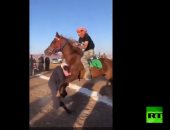 "مشجعش بضمير".. حصان يدهس مشجعا سعوديا خلال سباق بمنطقة حائل