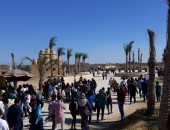 صور.. البيئة: محمية وادى الريان تستقبل أكثر من 6170 زائرًا