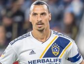 مخربون يحاولون إسقاط تمثال إبراهيموفيتش خارج ملعب مالمو فى السويد