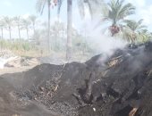 إزالة 5 مكامير فحم فى كفر البطيخ بدمياط 