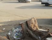 شكوى من قطع الأشجار وترك جزء يعوق المارة بشارع أبو بكر الصديق مدينة نصر