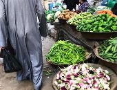 صور.. تعرف على أسعار الخضروات والفاكهة واللحوم بمحافظة الغربية