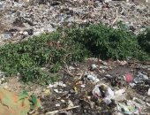 انتشار القمامة بمنطقة النهضة بالسلام 