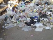قارئ يشكو من انتشار القمامة بشارع عصمت عين شمس الشرقية