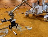 العلماء يفكرون فى إنشاء حجر صحى على سطح القمر.. اعرف السبب