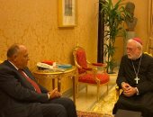 وزير الخارجية يؤكد موقف مصر الثابت تجاه القضية الفلسطينية وحل الدولتين