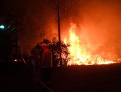 حرائق الغابات تصل إلى مستوى الطوارئ على أطراف مدينة سيدنى الأسترالية