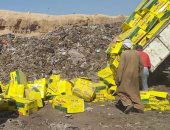 صور.. إعدام 2 طن شاى وضبط لحوم فاسدة قبل طرحهم للبيع فى سوهاج