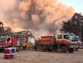 سلطات ولاية "نيو ساوث ويلز" الإسترالية تعلن حالة الطوارىء جراء الحرائق