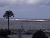 أمطار خفيفة على مناطق متفرقة بالإسكندرية والأحياء ترفع درجة الاستعداد