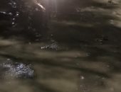 شكوى من انتشار مياه الصرف الصحى بحدائق الأهرام البوابة الأولى شارع 16