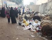 القمامة أمام مدرسة أطفال.. شكوى سكان أرض اللواء محافظة الجيزة