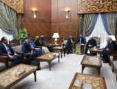 الإمام الأكبر: نسعى لتحقيق السلم المجتمعى ومواجهة التطرف بالقارة السمراء