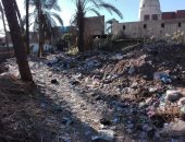 قارئ يشكو من انتشار القمامة بقرية أولاد عمرو بمحافظة قنا