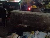 استمرار الشكاوى من انتشار القمامة والأوبئة فى عزبة النخل الغربية 