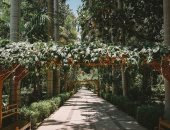 تنشيط السياحة تروج لأسوان بالتزامن مع إنطلاق منتدى السلام والتنمية المستدامة