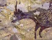 شاهد.. اكتشاف أقدم رسومات حيوانية فى العالم.. أين وكم عمرها؟ 