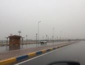 صور.. هطول أمطار على الإسماعيلية وانتظام حركة الملاحة بقناة السويس