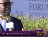 رئيس البنك الأفريقى للنتمية: الاستثمارات فى أفريقيا زادت بنسبة 11%