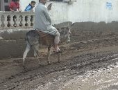 أهالى 3 قرى بالحسينية يناشدون محافظ الشرقية رصف الطرق.. صور