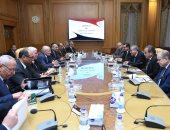 وزيرا الإنتاج الحربى والتموين يبحثان التعاون فى مشروعات بقارة أفريقيا