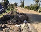 قارئ يطالب بتوسيع طريق دسوق - قلين بكفر الشيخ تجنبا للحوادث