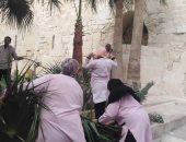 "آثار الإسكندرية": بدء أعمال تنسيق الحدائق بقلعة قايتباى.. صور