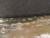  شكوى من انتشار مياه الصرف الصحى بشارع محسن أبو طاحون بالمرج