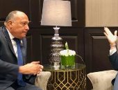 مدير وكالة الطاقة الذرية بعد لقائه سامح شكري: مستمرون فى تطوير التعاون