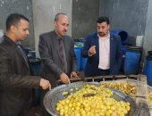 صور.. ضبط 6 أطنان مخلل غير صالحة للاستهلاك داخل 3 مصانع بالقناطر الخيرية