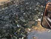 قارئ يشكو من طفح مياه الصرف الصحى ومخلفات منشأة القناطر بالجيزة