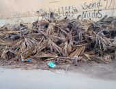 قارئ يشكو من انتشار القمامة بشارع مصطفى محمد توفيق بالمعمورة