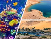 البيئة: رفع درجات الاستعداد بمحميات البحر الأحمر وجنوب سيناء خلال العيد 