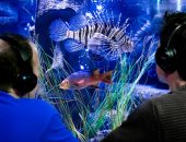 علماء بريطانيون يلتقطون أصوات غناء السمك تحت الماء لأول مرة