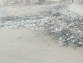 قارئة تشكو من انتشار القمامة بمنطقة العبد بالنهضة محافظة القاهرة