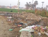 قارئ يشكو من انتشار القمامة بقرية العامرية بدير مواس بالمنيا