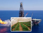 أولويات حكومة مصطفى مدبولى بعد التعديل الوزارى.. حل مشكلات المستثمرين وزيادة الصادرات وأبرزها الغاز.. رفع إنتاج المحاصيل الرئيسية وتعميق التصنيع المحلى.. دعم ملف الرعاية الصحية والحماية الاجتماعية لمحدودى الدخل