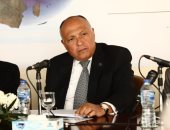 وزير الخارجية: مصر قوة إقليمية تعمل لتحقيق مصالح شعوب المنطقة