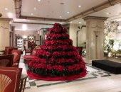 الأقصر تتزين بأشجار "الكريسماس" ابتهاجا بالموسم الشتوى واستقبال رأس السنة