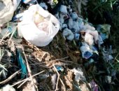 شكوى من انتشار القمامة بعزبه المهدى بالدقهلية