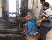 صور.. أين تذهب مياه أمطار الإسكندرية؟.. اعرف التفاصيل