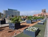 العاصمة تطور خط سير المومياوات الملكية لمتحف الحضارات.. سور حجرى بالفسطاط وإزالة العشوائيات بمحيط "عين الحياة".. مسلة فرعونية وأشجار الزيتون ونخيل بميدان التحرير وتوحيد واجهة العقارات.. زراعة الأسطح ورصف الطرق