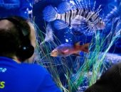 تأثيره لا يتوقف على البشر فقط..كيف تسبب كورونا في إصابة الأسماك بالاكتئاب؟