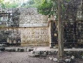 علماء آثار يكتشفون قصرا يعود لحضارة المايا القديمة فى شرق المكسيك