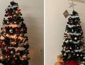 صور.. حكاية شجرة عيد الميلاد وأنواعها المفضلة.. اعرف التفاصيل
