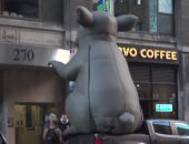 شاهد.. فئران ضخمة فى شوارع نيويورك احتجاجا على النزاعات العمالية