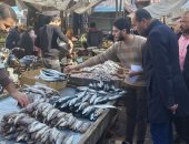 صور.. حملة لرئيس مدينة بلبيس علي محلات بيع الأسماك والرنجة